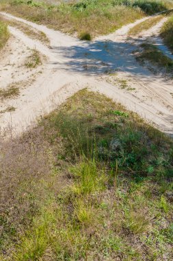 birçok kırsal kırsal kirli yolları crossing