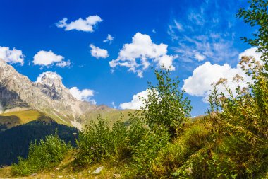 Alpine meadows güzel manzarasına. Üst Svaneti, Georgia, Europe