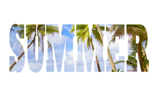 Summer concept on palm trees over sky and sea background — Stock Photo, Image