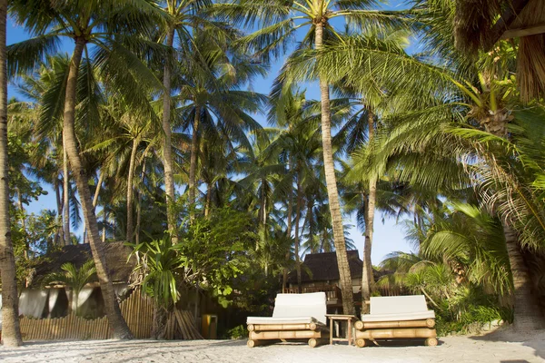 Tropisch strand met blauwe hemel en palm bomen — Stockfoto