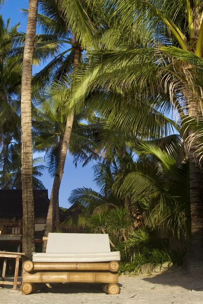 Tropische zeegezicht met blauwe hemel en palm bomen — Stockfoto