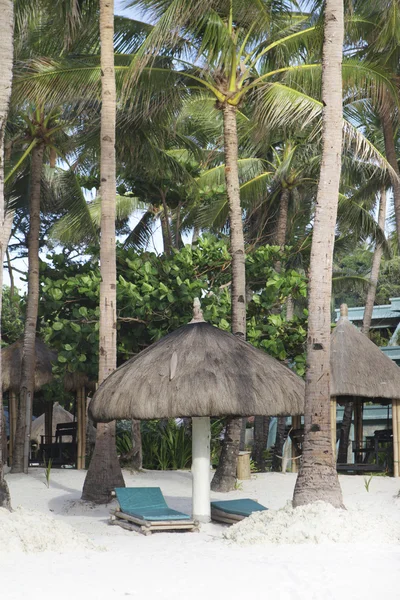 Tropical beach with palm trees and chairs — Stock Photo, Image