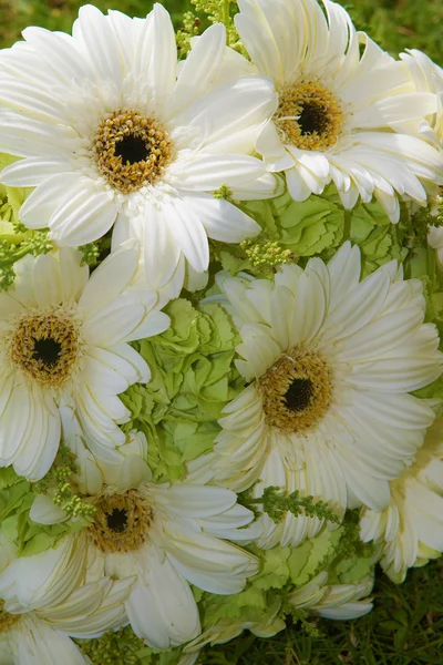 Wedding bouquet on natural background — Stock Photo, Image