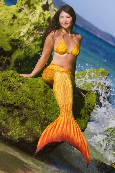Mermaid on tropical sea background — Stock Photo, Image