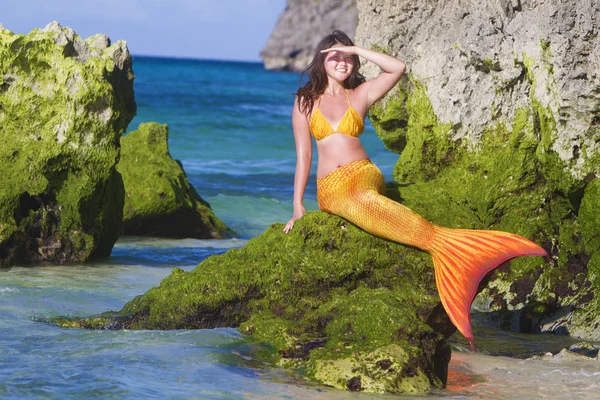 Sirène sur fond de mer tropicale — Photo