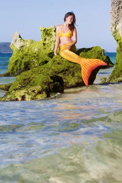 Sirena sobre fondo marino tropical — Foto de Stock