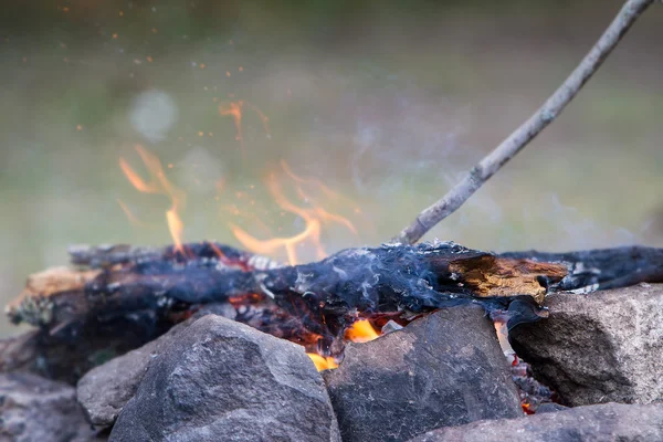 Feu de joie sur fond naturel — Photo