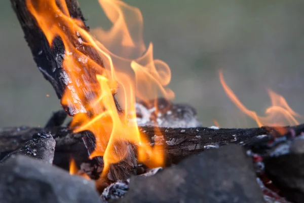 自然背景上的篝火 — 图库照片