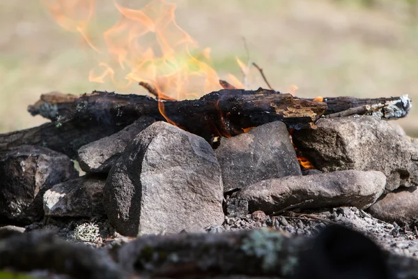 Api unggun di latar belakang alam — Stok Foto