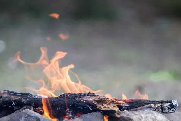 自然背景上的篝火 — 图库照片