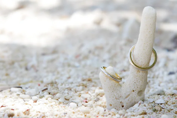 Обручальные кольца на кораллах на песчаном тропическом пляже — стоковое фото