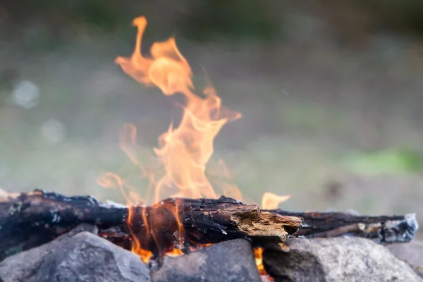 Feu de joie sur fond naturel — Photo