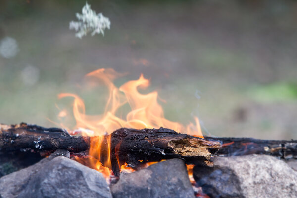 bonfire on natural background