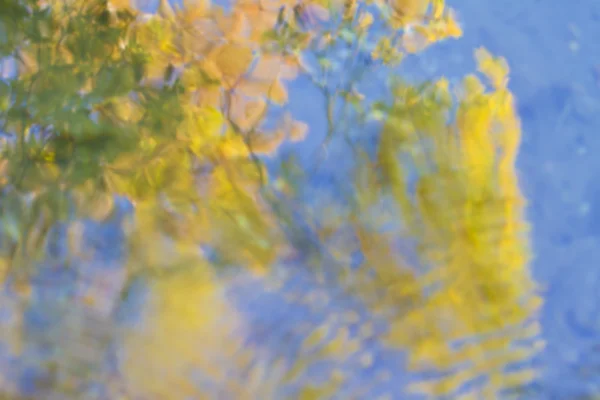 秋の木の反射水で — ストック写真