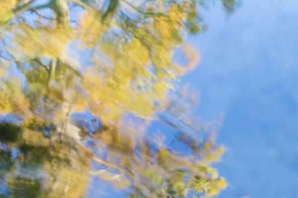 Herfst bomen weerspiegeling in water — Stockfoto