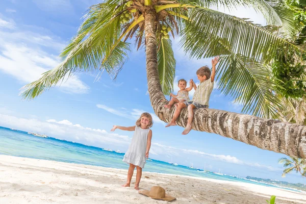 Happy children - boy and girls - sitting on palm tree, tropical — Stock Photo, Image