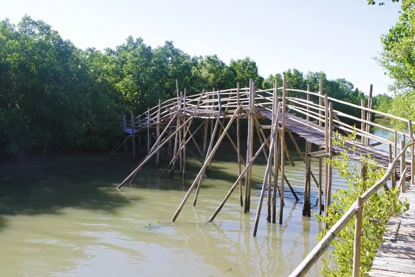 Mangrove forest, houten brug — Stockfoto