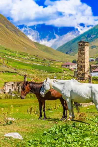 Ushguli, bovenste Svaneti, Georgia, Europa. Caucasus mountains. — Stockfoto