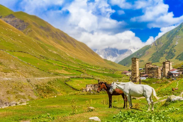 Ushguli, upper svaneti, georgia, europa. Kaukasusgebirge. — Stockfoto