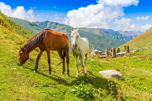 Ushguli, bovenste Svaneti, Georgia, Europa. Caucasus mountains. — Stockfoto