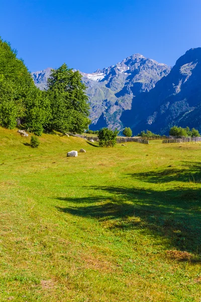 Krásný pohled na alpských loukách. Horní Svaneti, Gruzie, Evropa — Stock fotografie