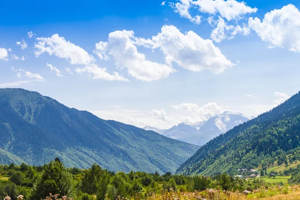 Bella vista sui prati alpini. Alta Svaneti, Georgia, Europa — Foto Stock