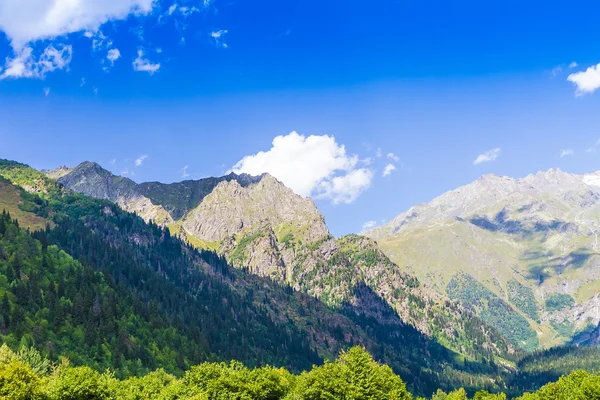 Belle vue sur les prairies alpines. Upper Svaneti, Géorgie, Europe — Photo