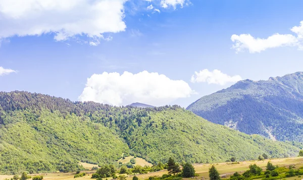 高山草原の美しい景色。上スヴァネティ、ジョージア州、ヨーロッパ — ストック写真