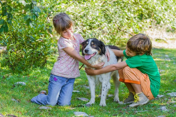 Doi copii - băiat și fată - cu câine în aer liber — Fotografie, imagine de stoc