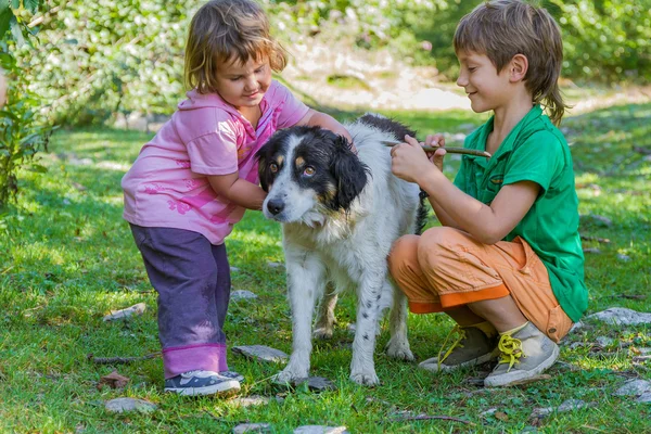 Two kids - boy and girl - with dog outdoors — Stock Photo, Image