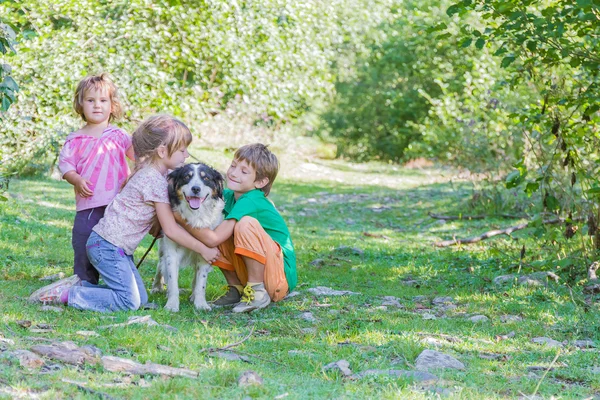 Três crianças - menino e menina - com cão ao ar livre — Fotografia de Stock