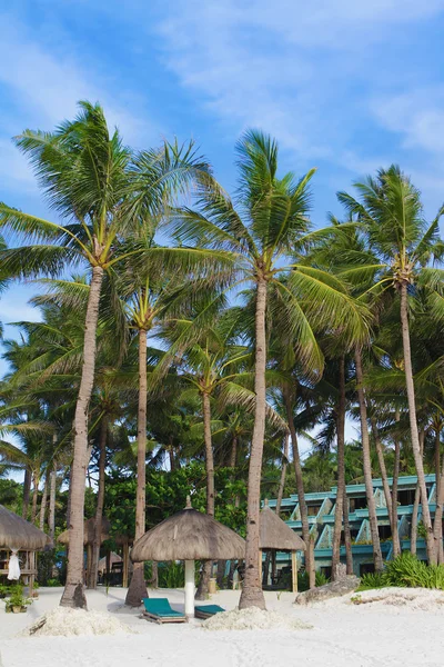 Tropischer Strand mit blauem Himmel und Palmen — Stockfoto