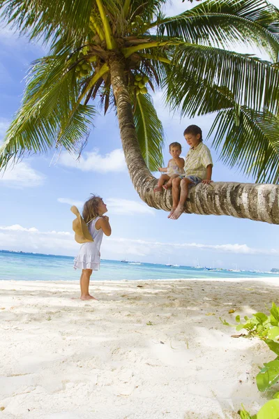 Three children - boy and girls - sitting on palm tree on tropica — Stock Photo, Image