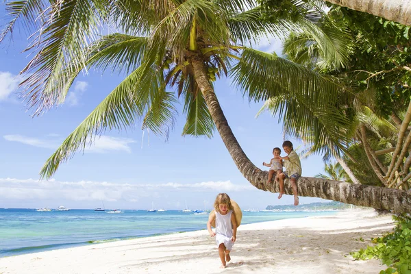 Троє дітей - хлопчик і дівчатка - сидять на пальмовому дереві на тропіці — стокове фото