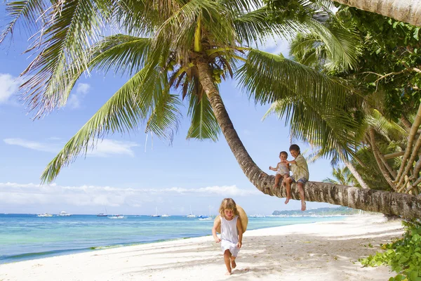 Trois enfants - garçons et filles - assis sur le palmier sur tropica — Photo