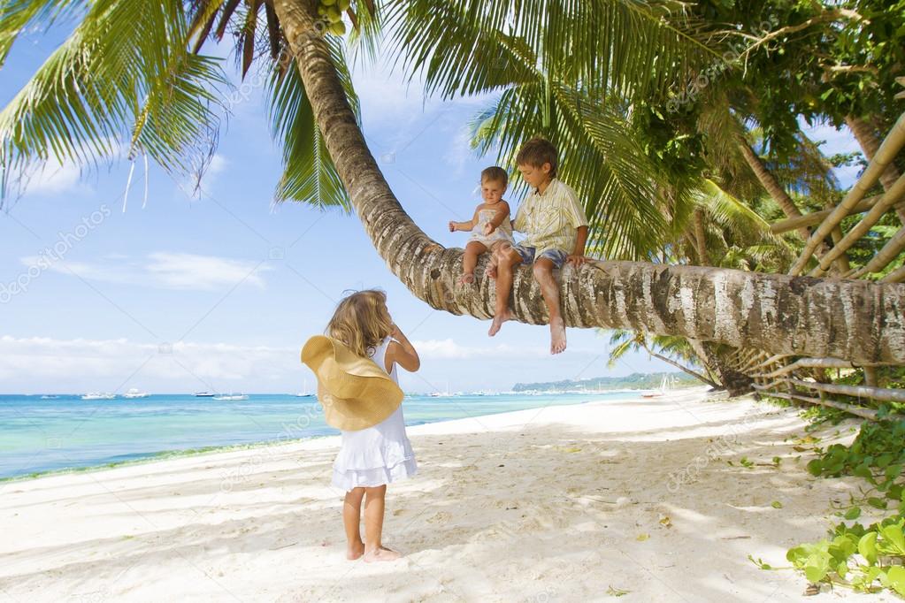 three children - boy and girls - sitting on palm tree on tropica