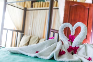 otel odası, havlu kuşlar, kuğu, Oda Interio havlu süsleme