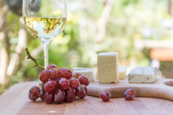 Different types of cheese with wine and grapes on natural backgr — Stock Photo, Image