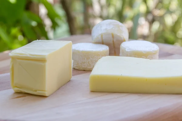 Different types of cheese on natural background — Stock Photo, Image