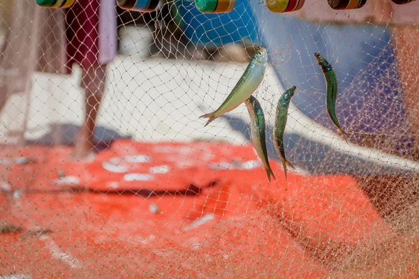 Rete da pesca con pesci su sfondo naturale — Foto Stock