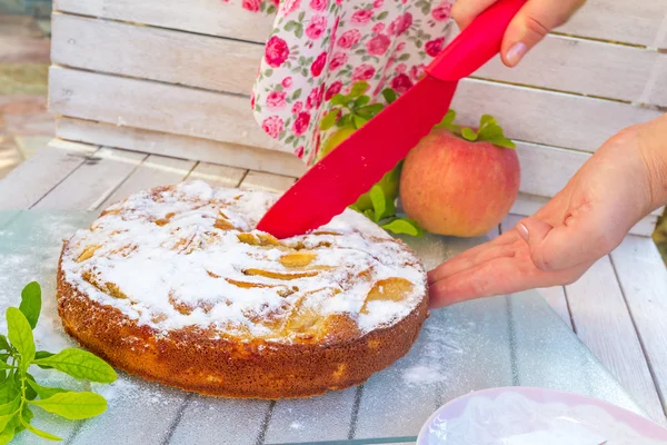 Homemade apple pie, shtrudel, on outdoor rural background — Stock Photo, Image