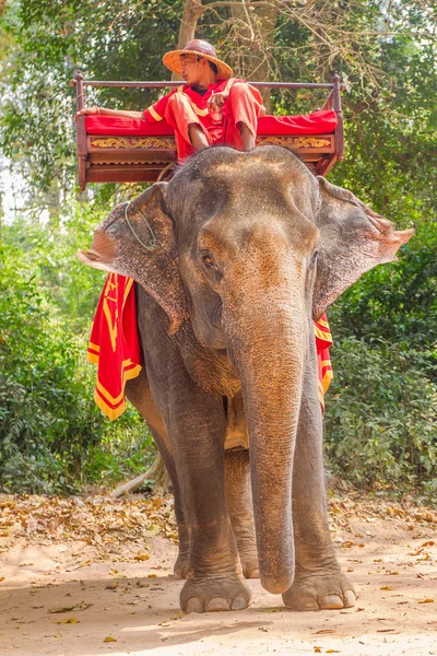 SIEM REAP, CAMBODIA-Feb 24, 2015: Un cambogiano non identificato in nat — Foto Stock