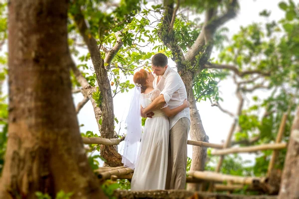Joven pareja amorosa en el bosque tropical fondo, día de la boda , — Foto de Stock