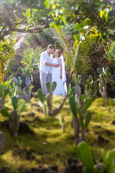 Junges Liebespaar auf tropischem Waldhintergrund, Hochzeitstag, — Stockfoto