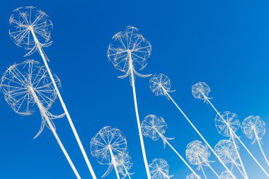 izole mavi arka plan üzerinde beyaz metal karahindiba