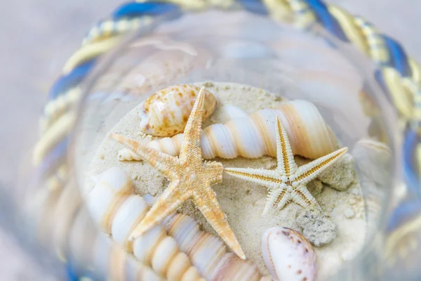 Conchas do mar e estrelas do mar em recipiente de vidro como lembretes de summe — Fotografia de Stock