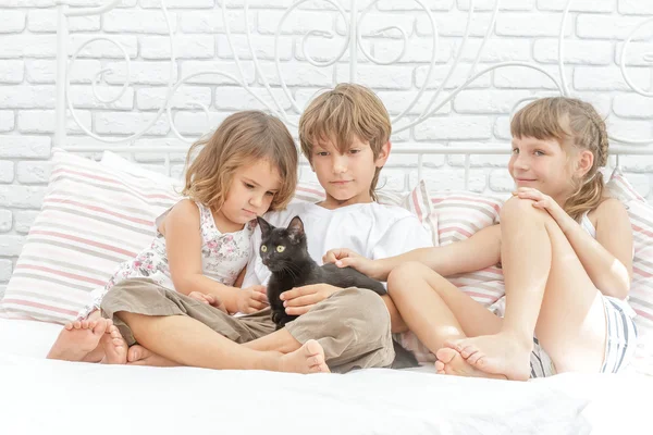 Three children, kids, boy and girls, playing with black little c — Stock Photo, Image