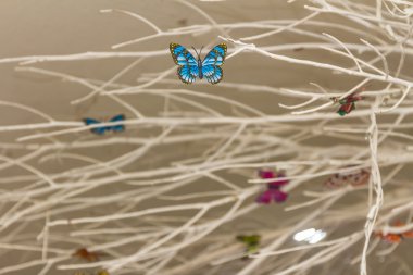 iç dekorasyon boyalı ağaç ve renkli yapay BÜ