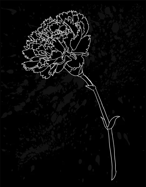 Hermosa flor de clavel blanco y negro monocromo aislado sobre fondo blanco. Líneas de contorno y trazos dibujados a mano — Vector de stock