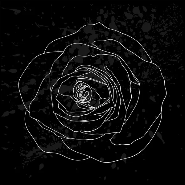 Hermoso contorno de rosa blanco y negro con manchas grises sobre un fondo negro . — Vector de stock